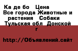 Ка де бо › Цена ­ 25 000 - Все города Животные и растения » Собаки   . Тульская обл.,Донской г.